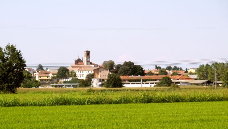 Levodopa