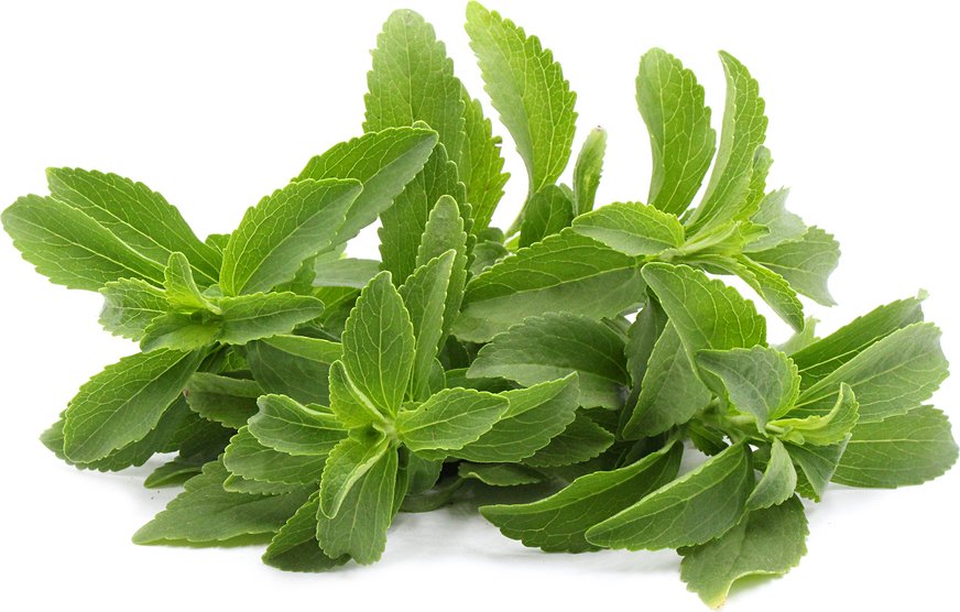 Concentrated Mint Flavor Koolada Ws23 Ws12