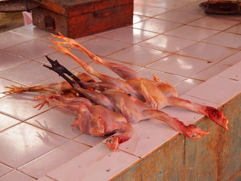 Chicken Feet