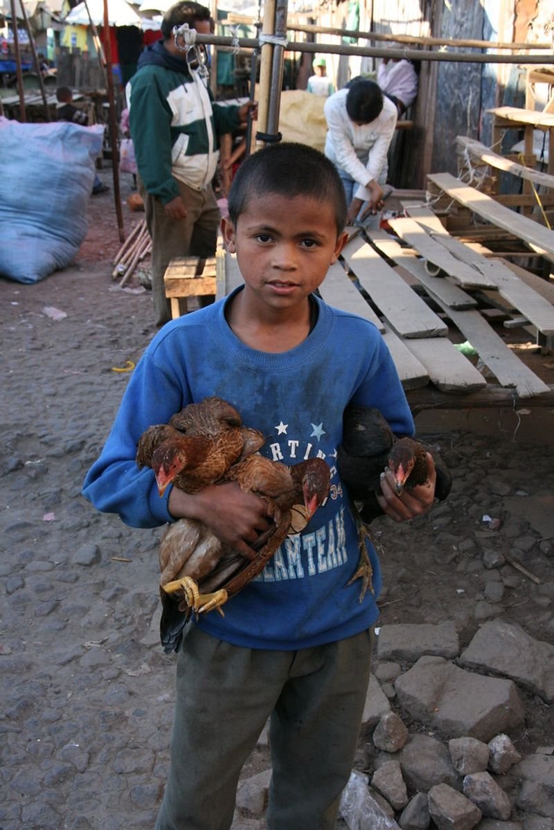 CHIKEN