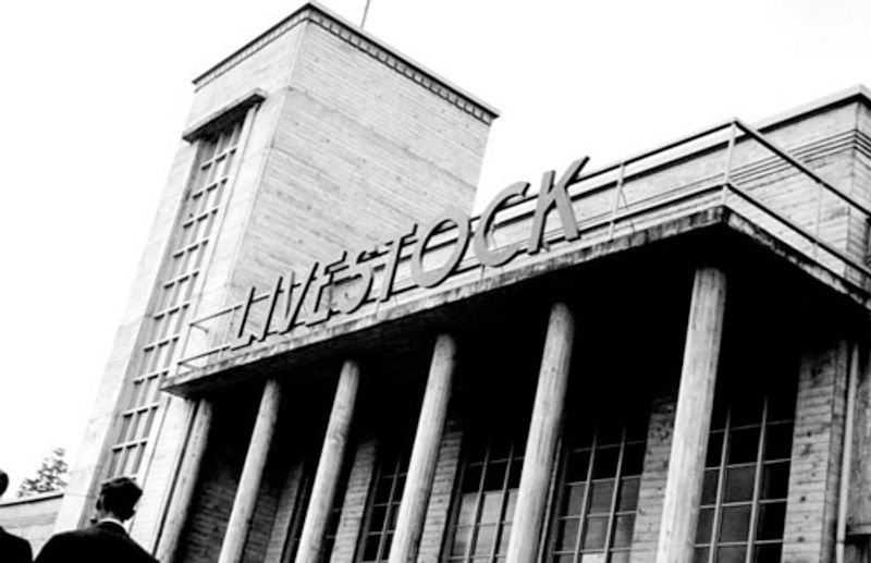 Infrarex