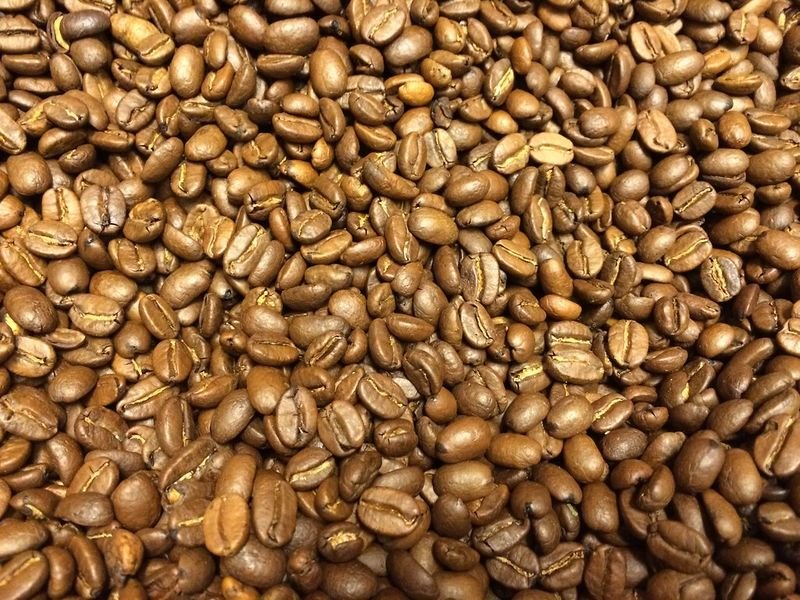 Arabica