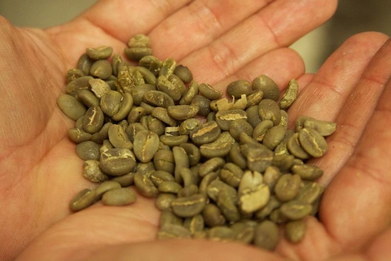 Arabica Lintong