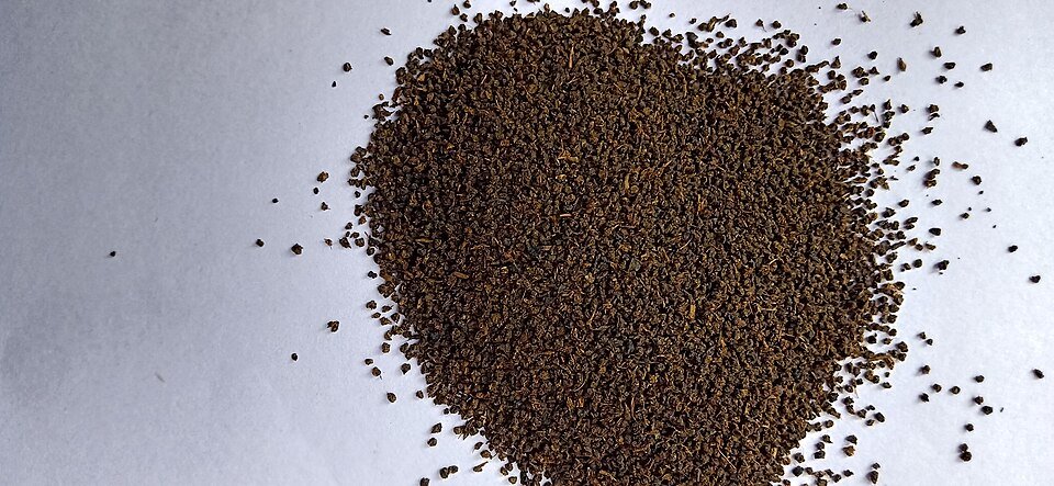 Mustard Seeds