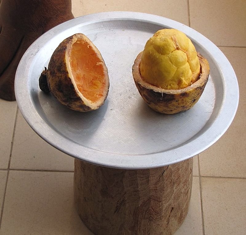 Wood Mango Shape Tray