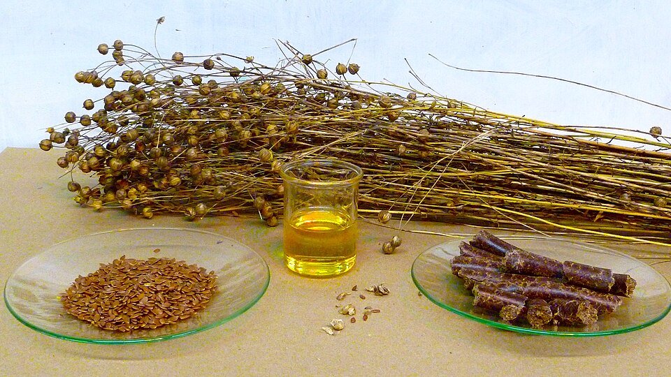 Aniseed Essencial Oil