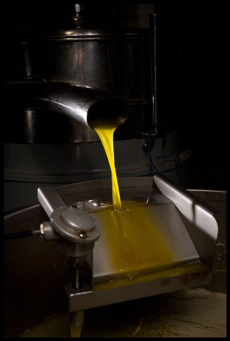 Extra Virgin Olive Oil