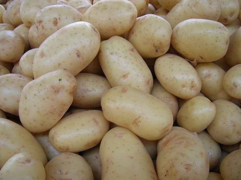 Jack Seeds / Chinese Potatoes (innala)