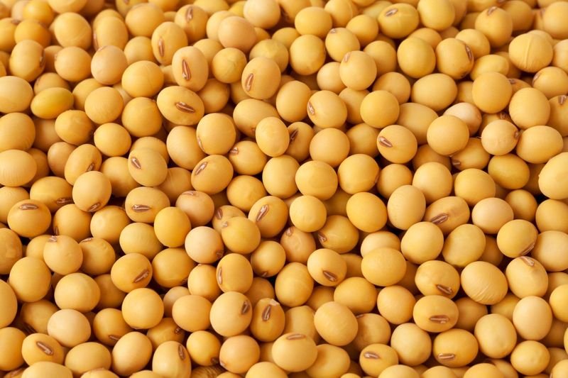Soybean Isoflavones