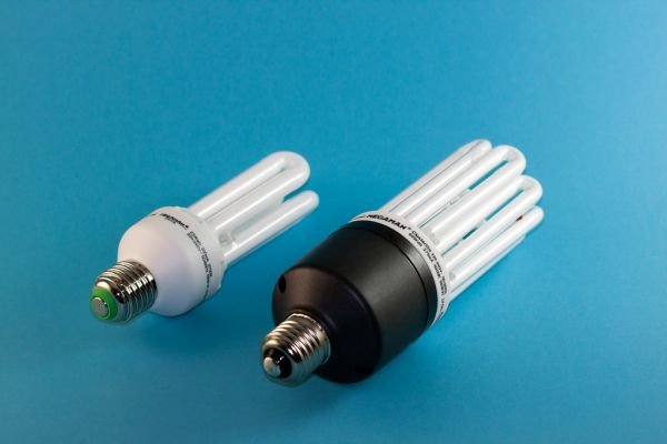 Fluorescent lamp