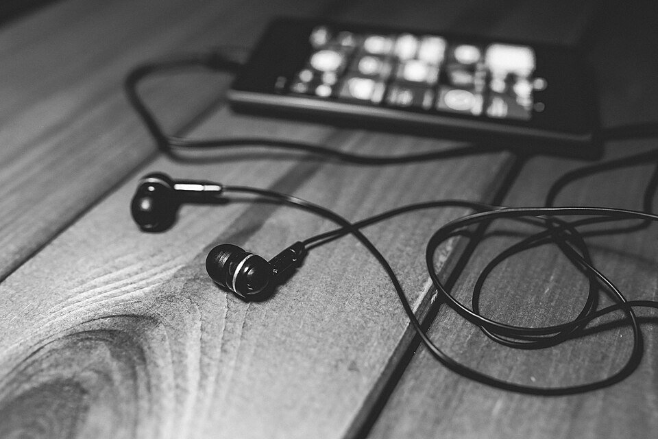 Wired In-Ear Plug Earpods