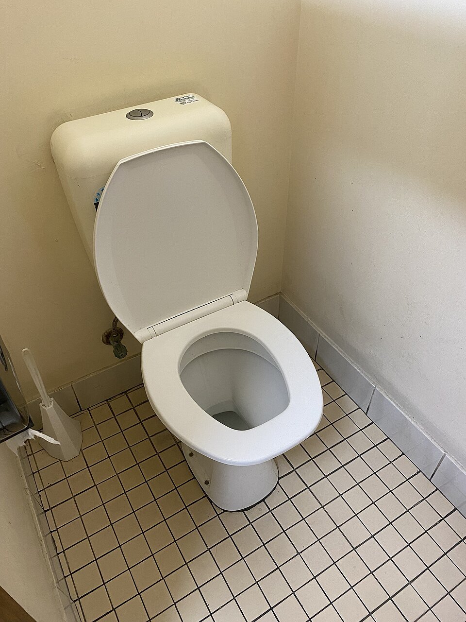 Portable toilet