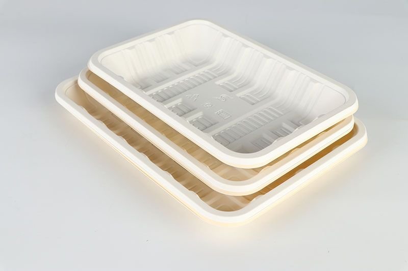 8"x 6" OBLONG Food Container