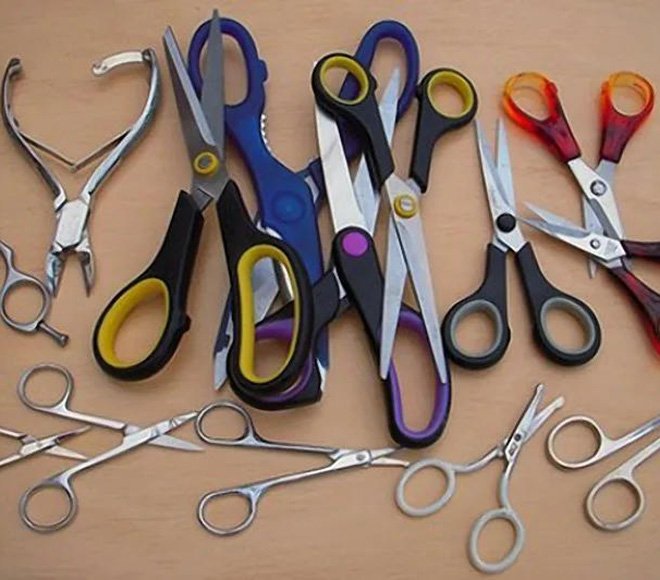 Professional Multipurpose Scissors Art & craft, Hair Trimming/Gromming