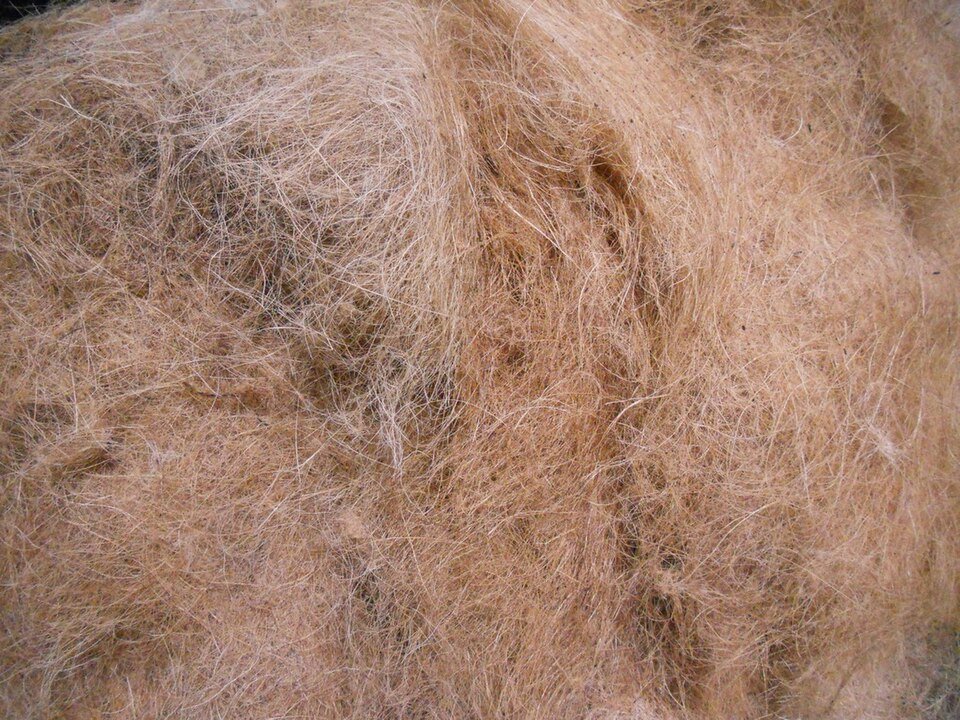 Citrus Fiber