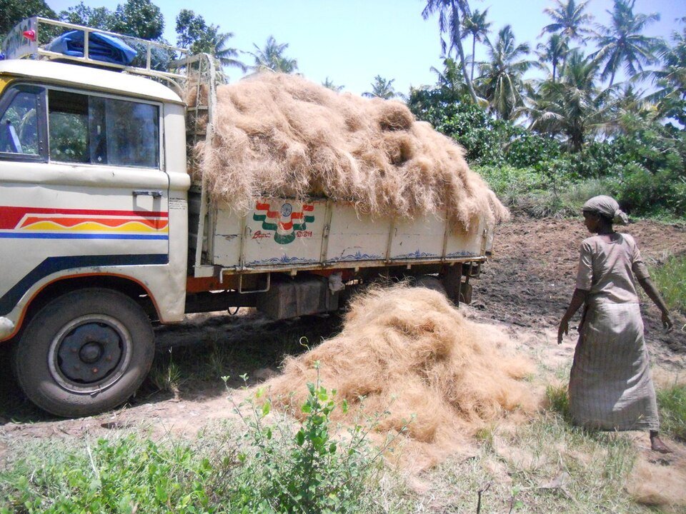 Coir Fiber