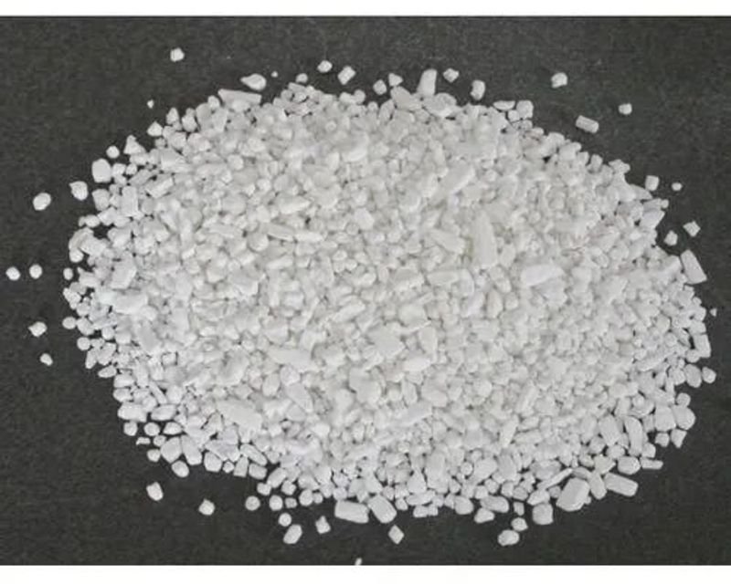 Nitrocellulose chips