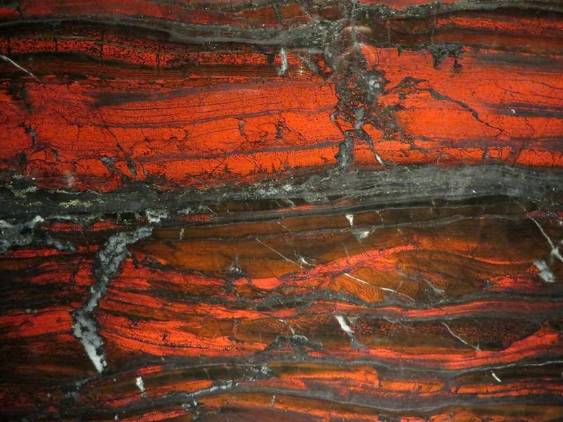 Red Sandal Wood