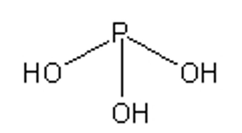 Amino Acid