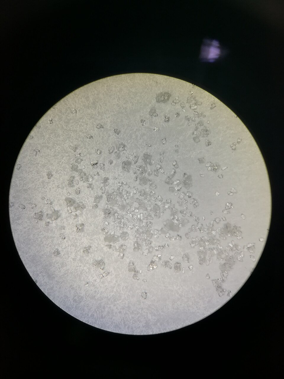 CS-006 Starcoat PL