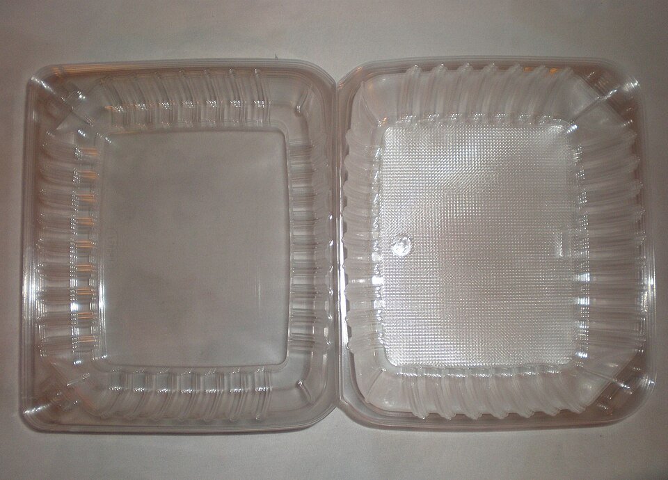 7"x 5" OBLONG Food Container