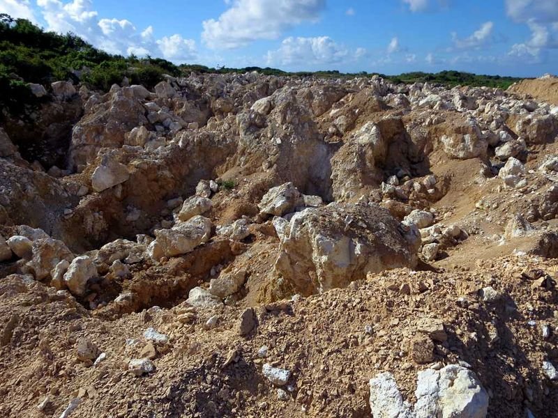 Rock Phosphate