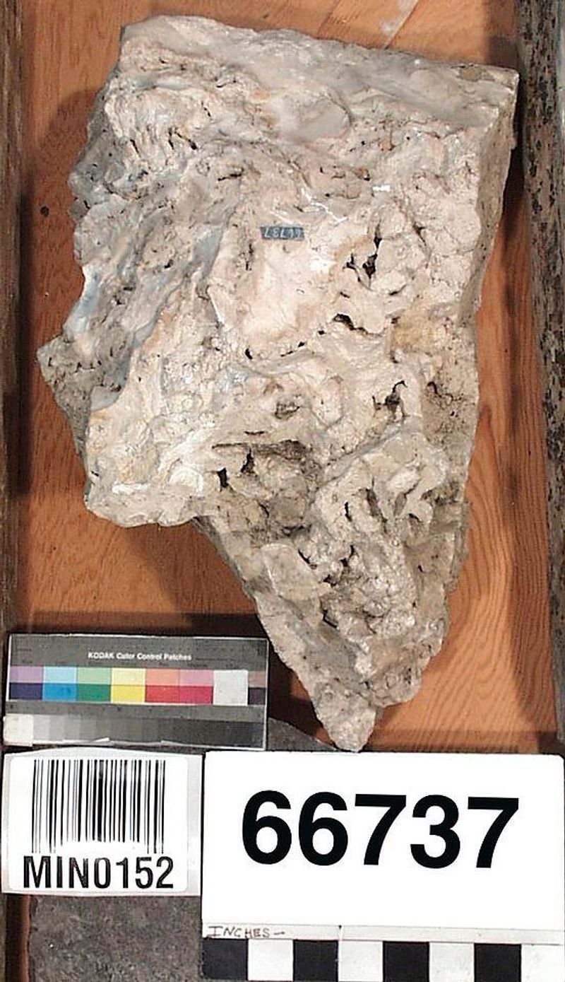 Rock Phosphate