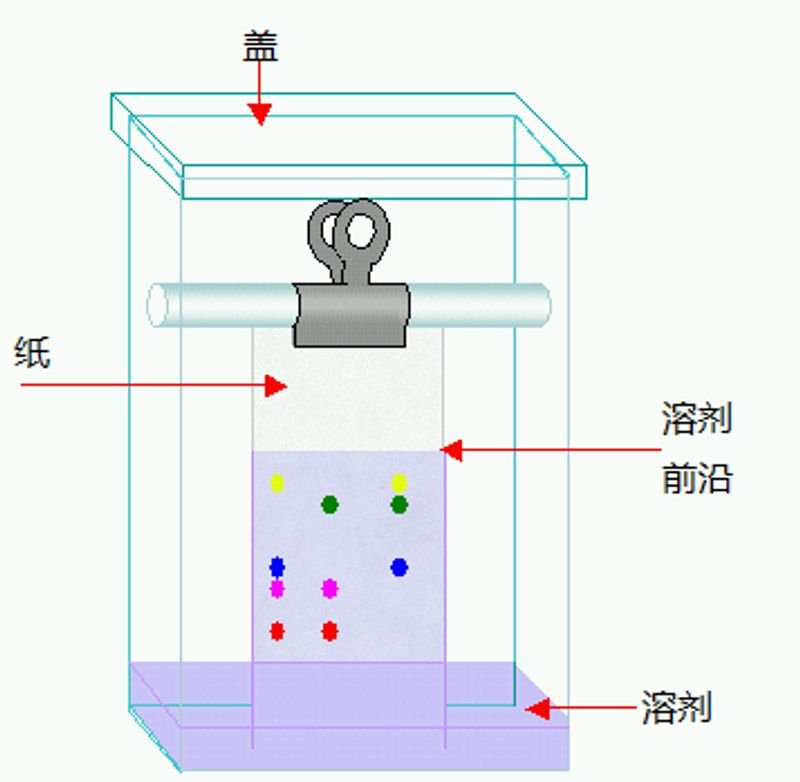 Ball Drop Impact Test Machine