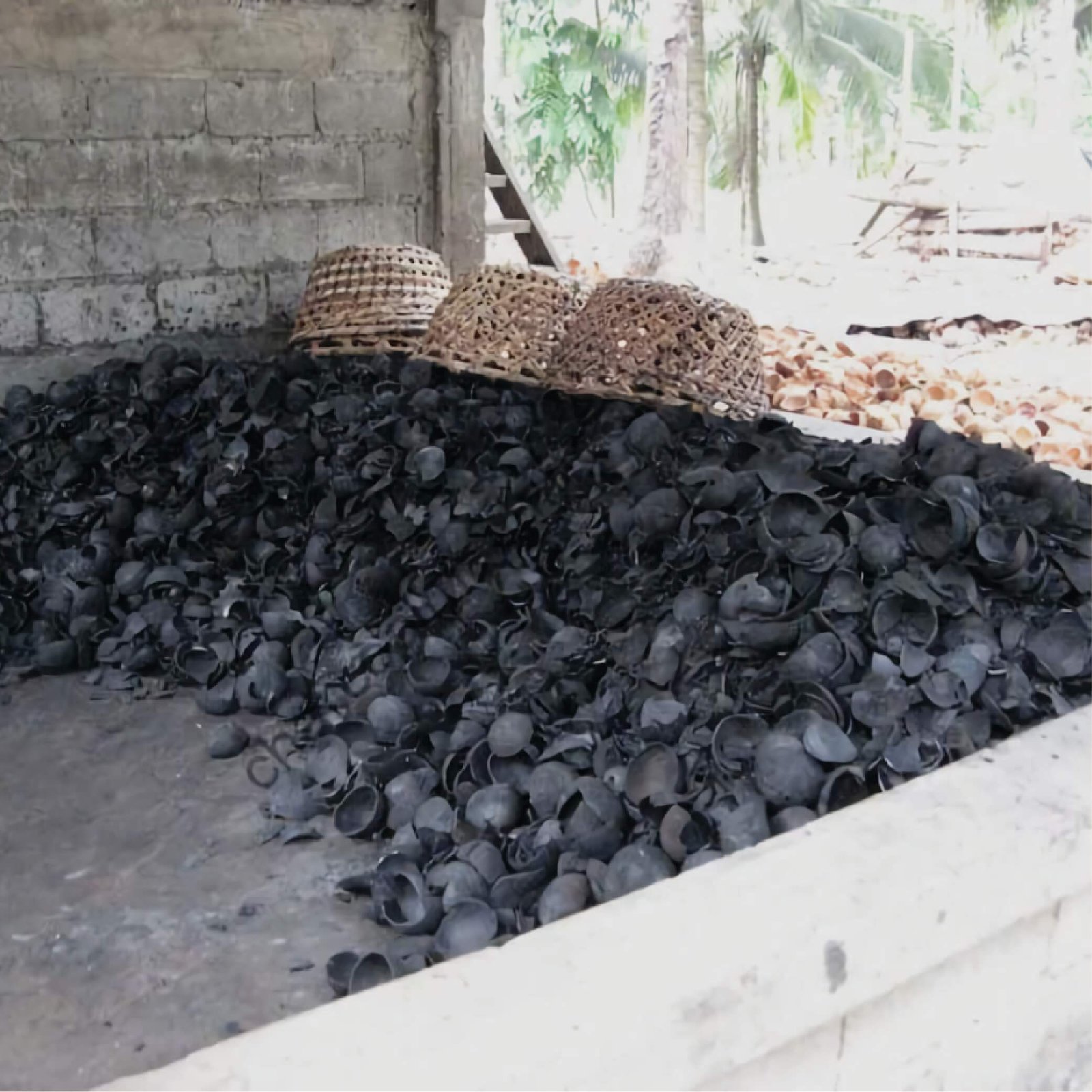 Coconut Shell Activated Carbon 6x12 Mesh