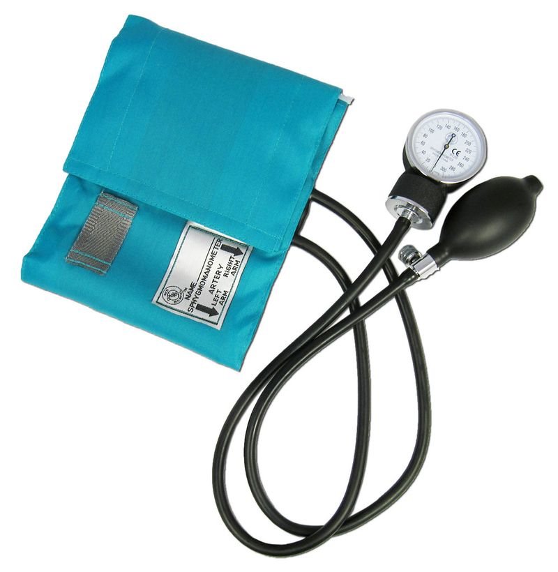 BP10 Automatic Blood Pressure Monitor