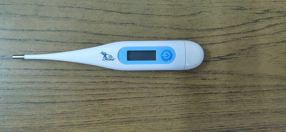 Infrared ear and forehead thermometer