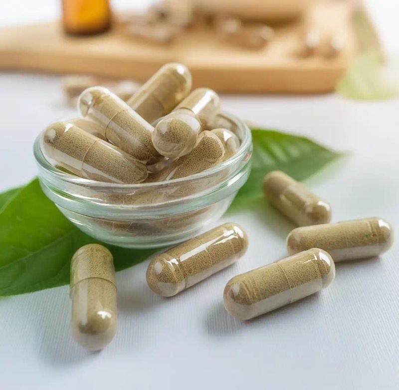 Reishi Mushroom Extract Capsule