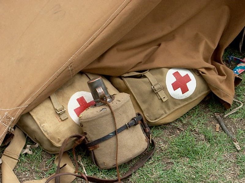 Triple Blood Bag