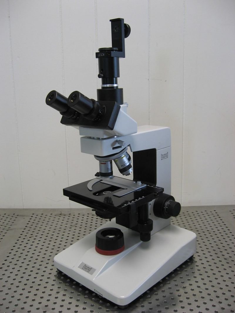 Fundus Camera