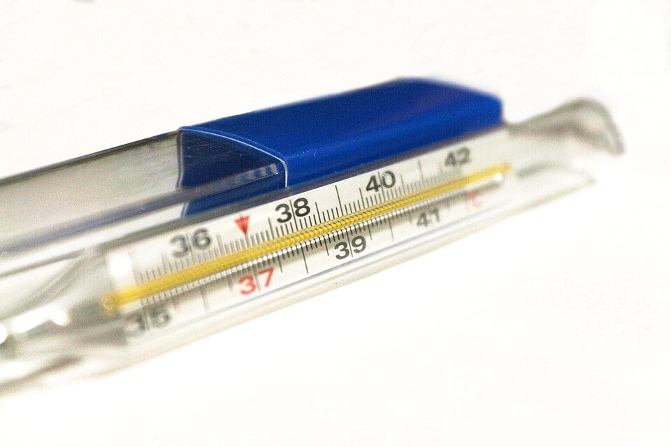 Height Measuring Scale