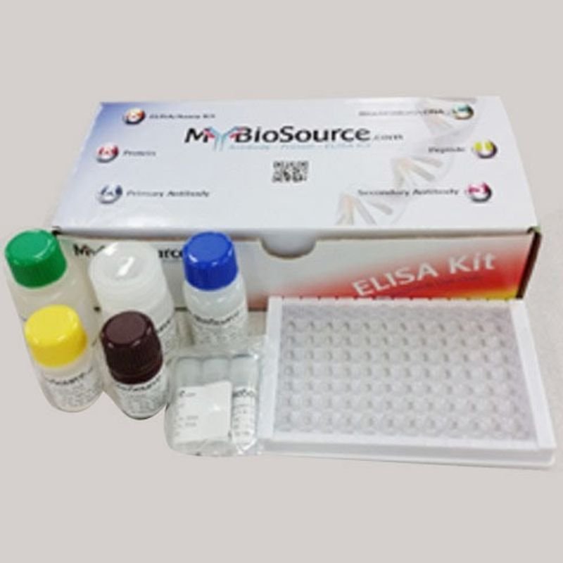 Cupping set (19cups a set)