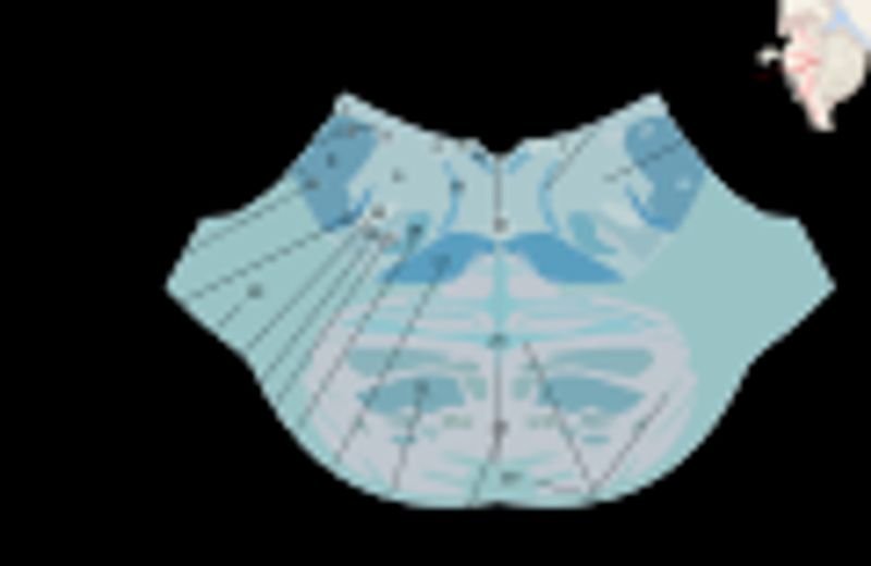 Seamless Leak Proof 4 Layers Menstrual Panties