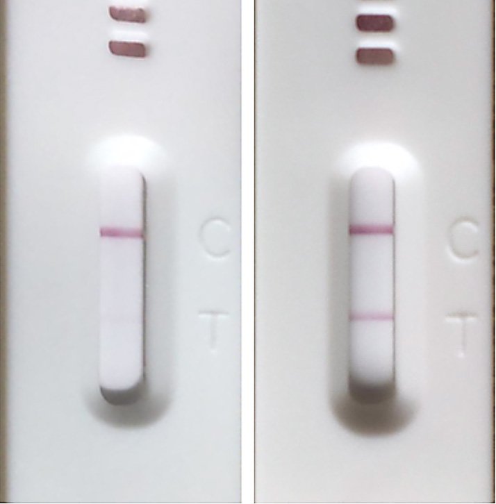 Acolab No.2 Mts 20 Days