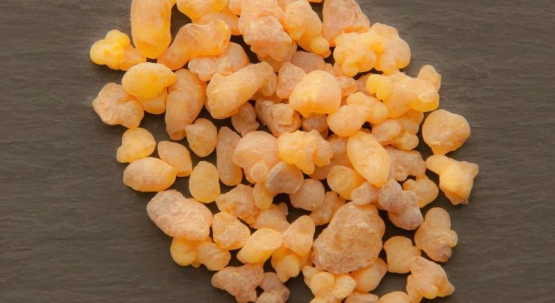 Olibanum Oil