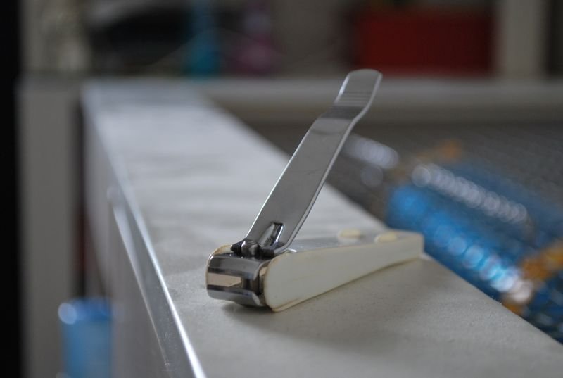 College tweezer