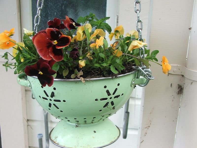 Hanging Planter