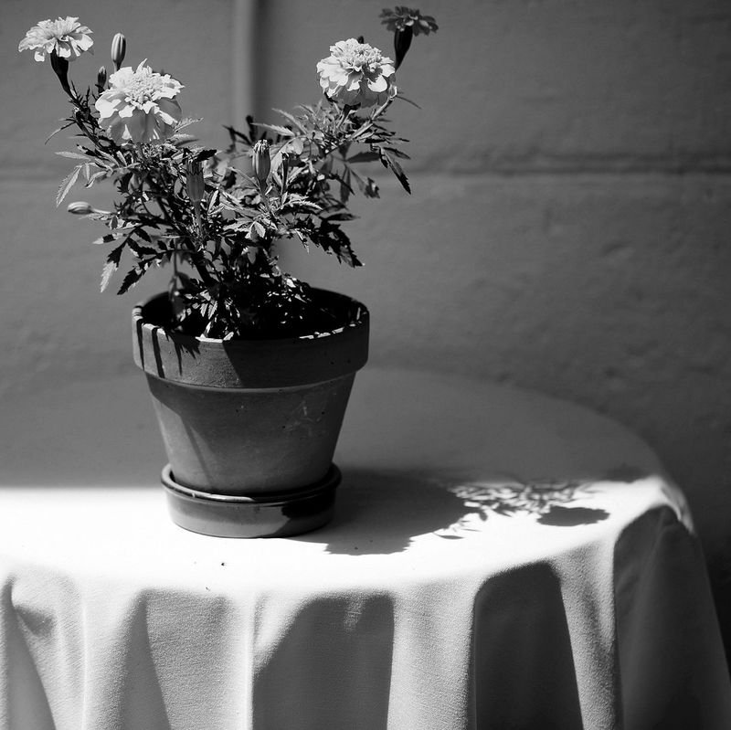 Ceramic Designer Vase