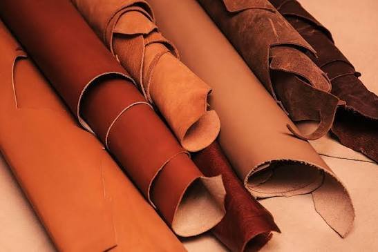 Raw Leather and Finished Leather