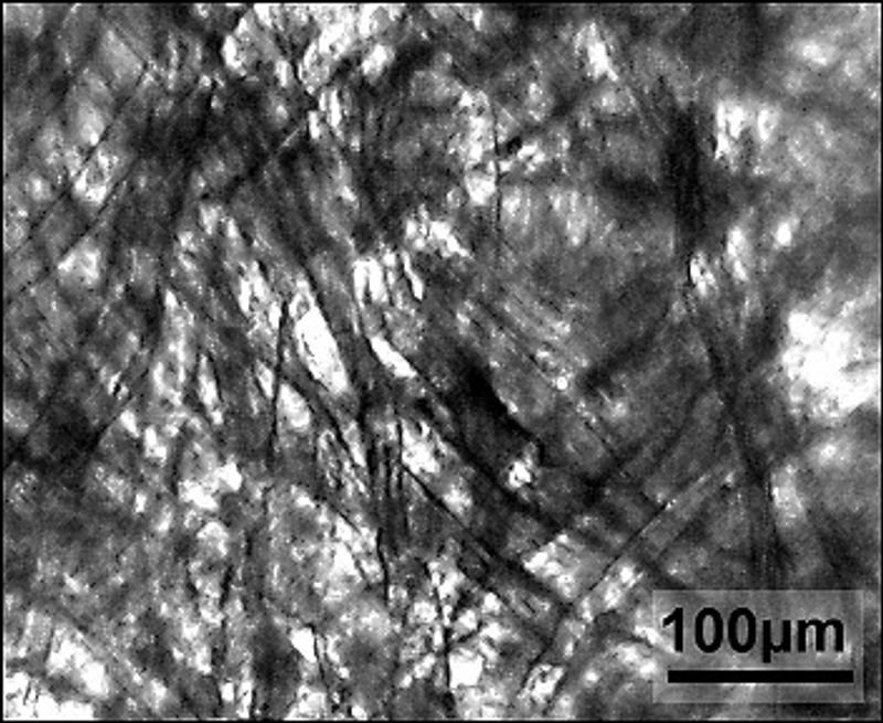 Cellulose