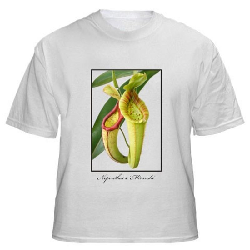 Branded T-Shirt