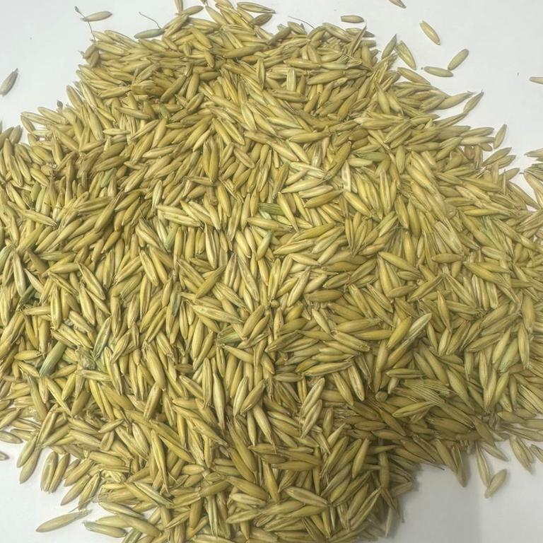 OATS