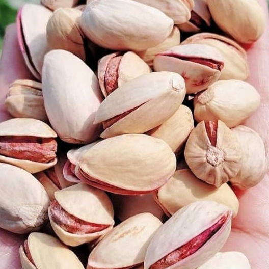 High-quality Iranian pistachio nuts