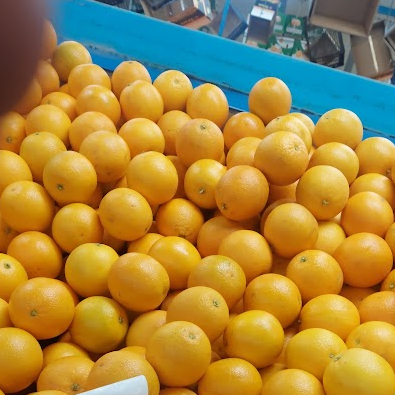 oranges