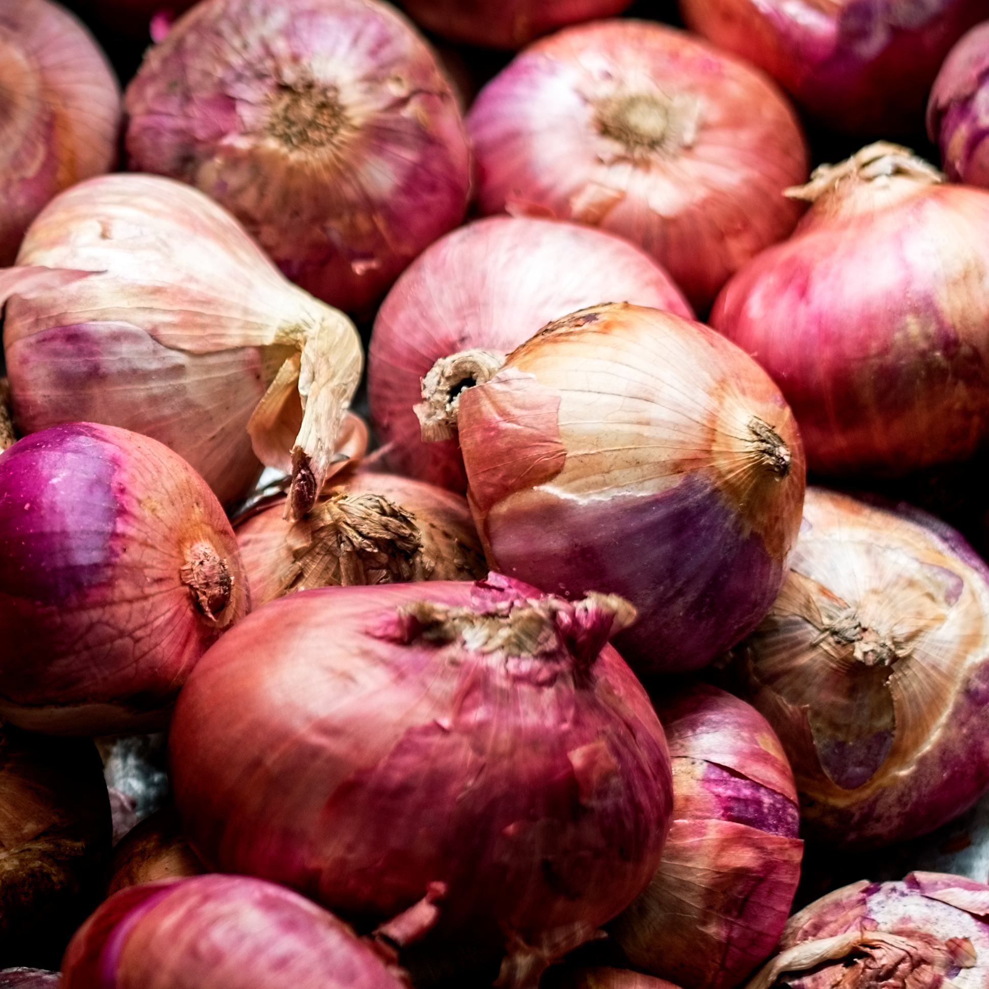 RED ONION
