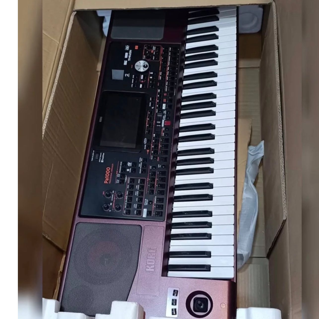 Korg Pa1000 61-Key Pro Arranger with Speakers